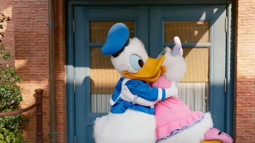 和唐老鸭&黛丝一起秀恩爱 这组"翘臀小情侣"是乐园知名的"秀恩爱不管