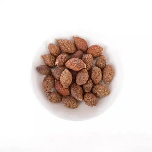 喉咙干燥 "胖大海"泡水能解决吗?