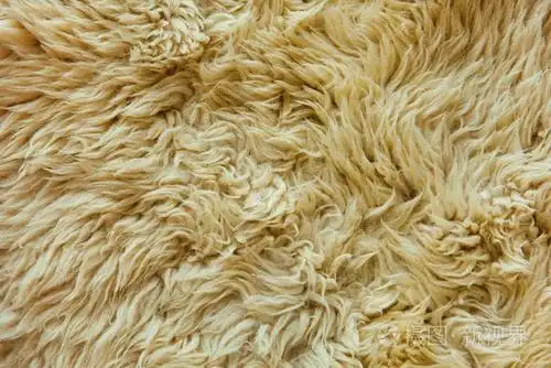 绵羊毛