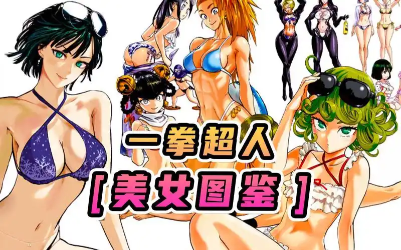 一拳超人【美女图鉴】赏心悦目女性角色大盘点!不要告诉我你全都要!