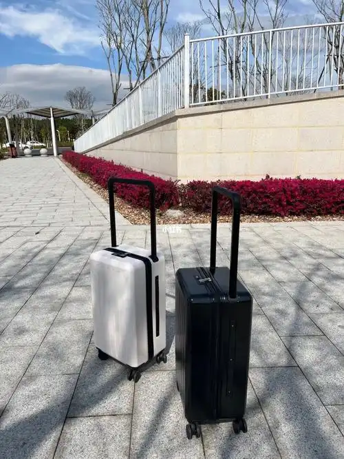 行李箱高铁站随意拍两张一整个爱住