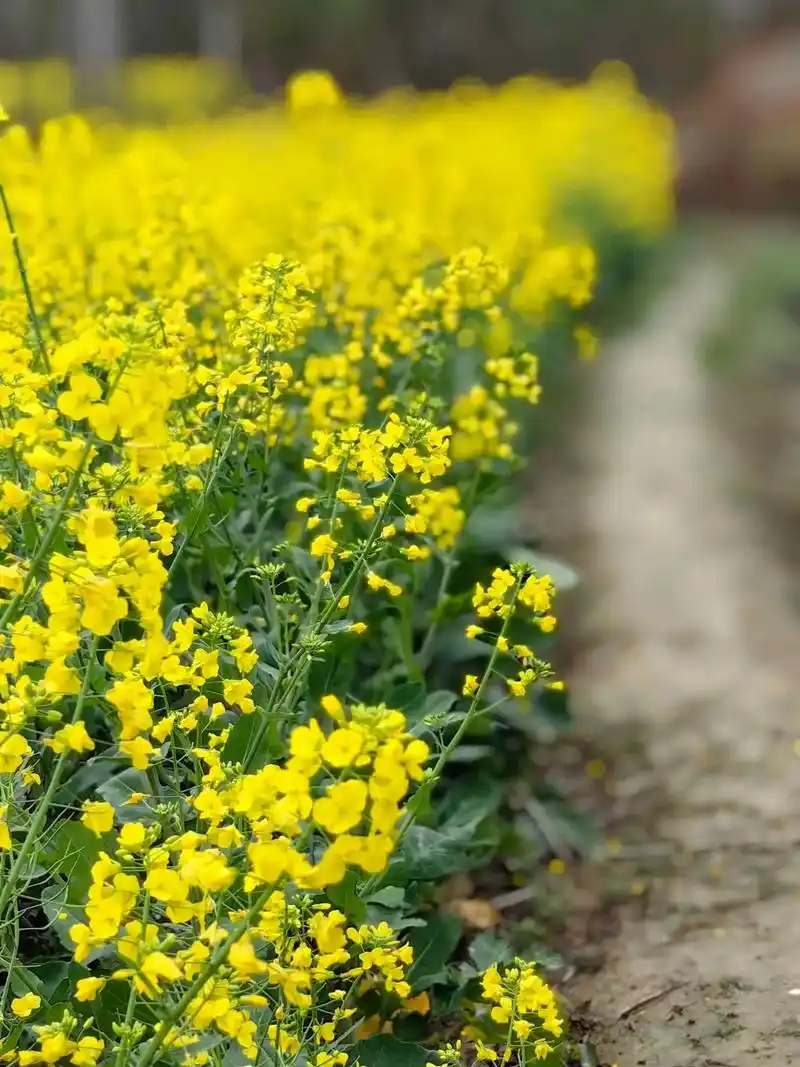 感受大自然的气息和美景 #捕捉春天的气息 #放飞心情拥抱大 - 抖音