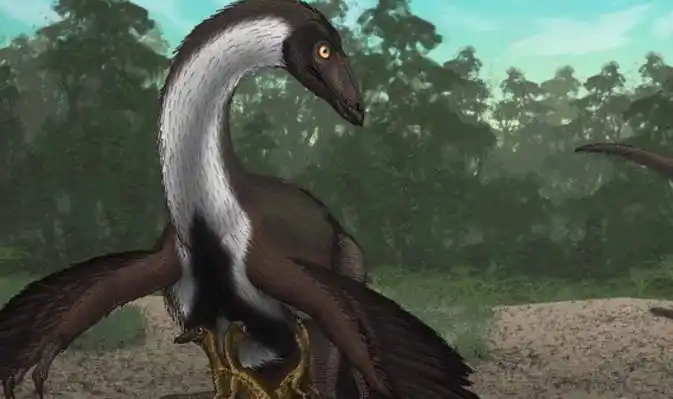 龙  黑水龙,特暴龙,霸王龙,风神翼龙,无齿翼龙,沧龙,跳龙,剑龙,雷龙