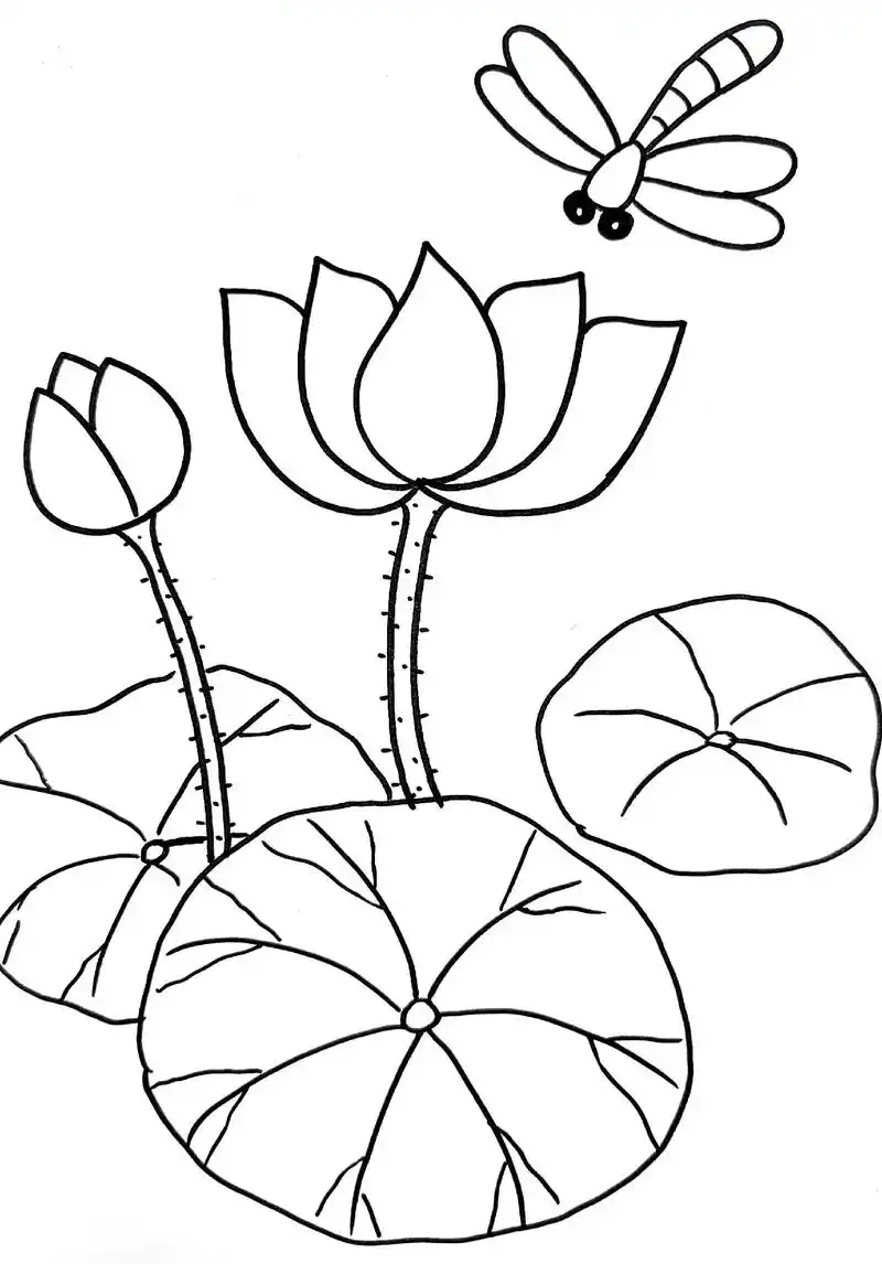 多彩的夏天简笔画