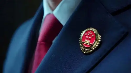 一个孩子看着检察官胸前的检徽,说:   "我也好想要这个徽章.