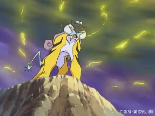 宝可梦no.243——雷公