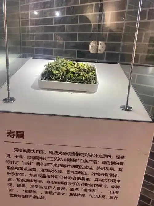图解福鼎白茶四大等级