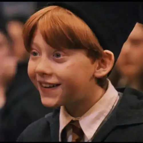 罗恩赫敏情侣头像 哈利波特