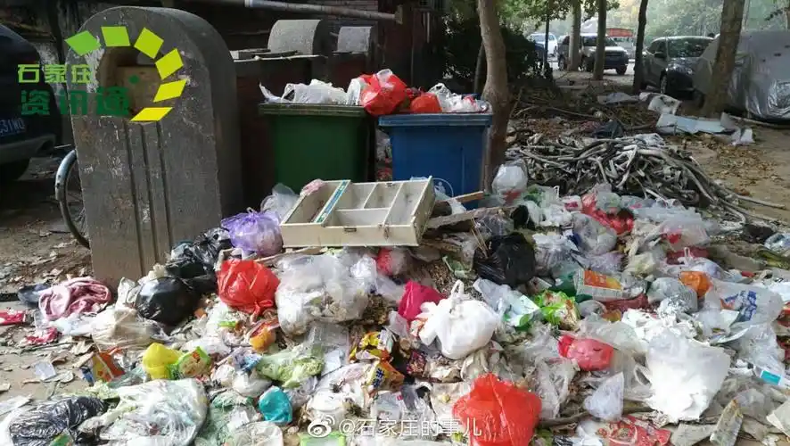石家庄某小区臭气熏天垃圾堆成山无人管理