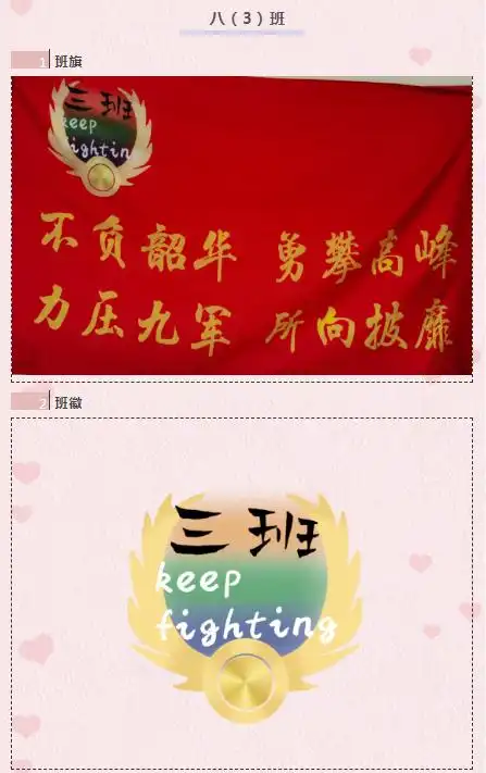 百花旗放徽洒青春八年级班徽班旗设计展示