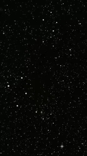 壁纸你身边的00后现在的生活状态是