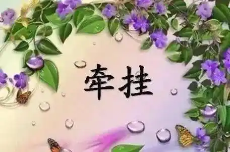 有一种感情,叫牵挂!(入心)_安全感_欢欢_距离