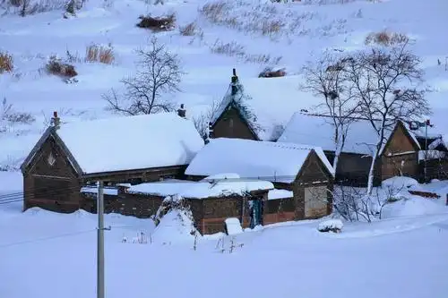 大雪纷飞看天鹅