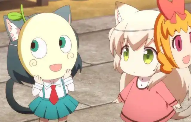 这个番刷新了我对短的理解《猫咪日常》