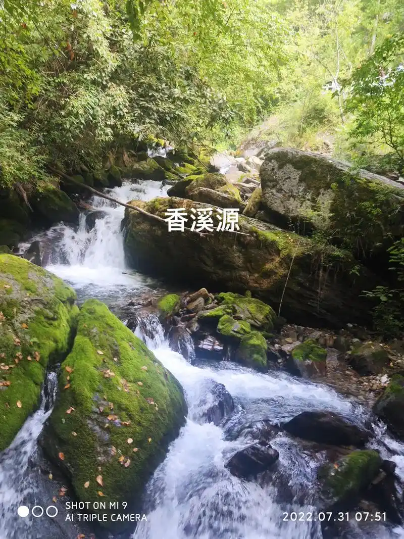 今日立秋 #愿秋风不燥岁月静好 #歌曲醉在山水间  #神奇 - 抖音