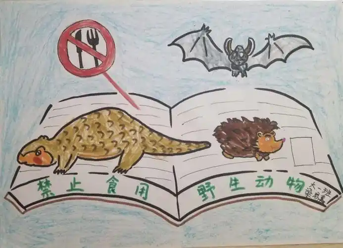 额济纳旗幼儿园大一班萌娃宅家之创意画——保护野生动物