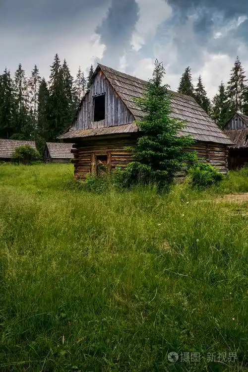 在森林里的老木屋