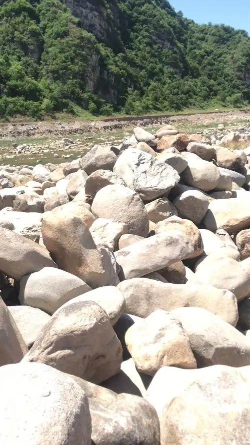 河卵石 公园风景石 河岸湖边风景石 雄安新区用 造景石头庭院装饰