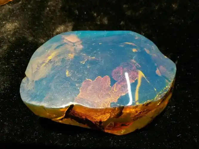 【大地仙境】情醉多米尼加矿主的琥珀(自然光下的蓝珀)