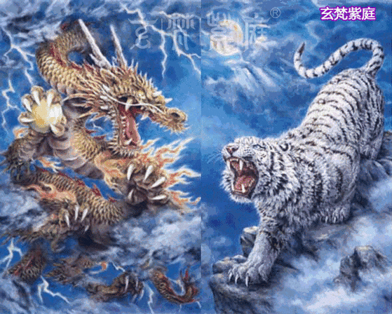 589_472gif 动态图 动图