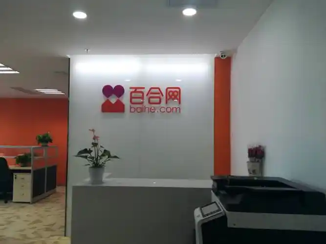 北京公司logo墙标志制作:不锈钢烤漆字,亚克力水晶字,发光字_logo