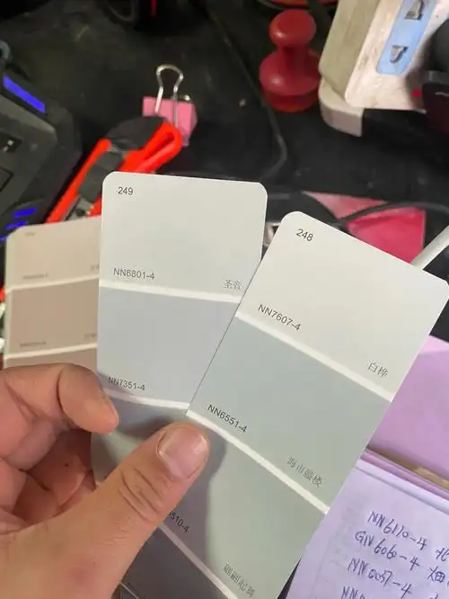 立邦漆色卡圣音褐珊瑚荷兰乳酪