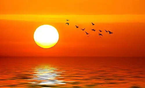 东方升起红太阳