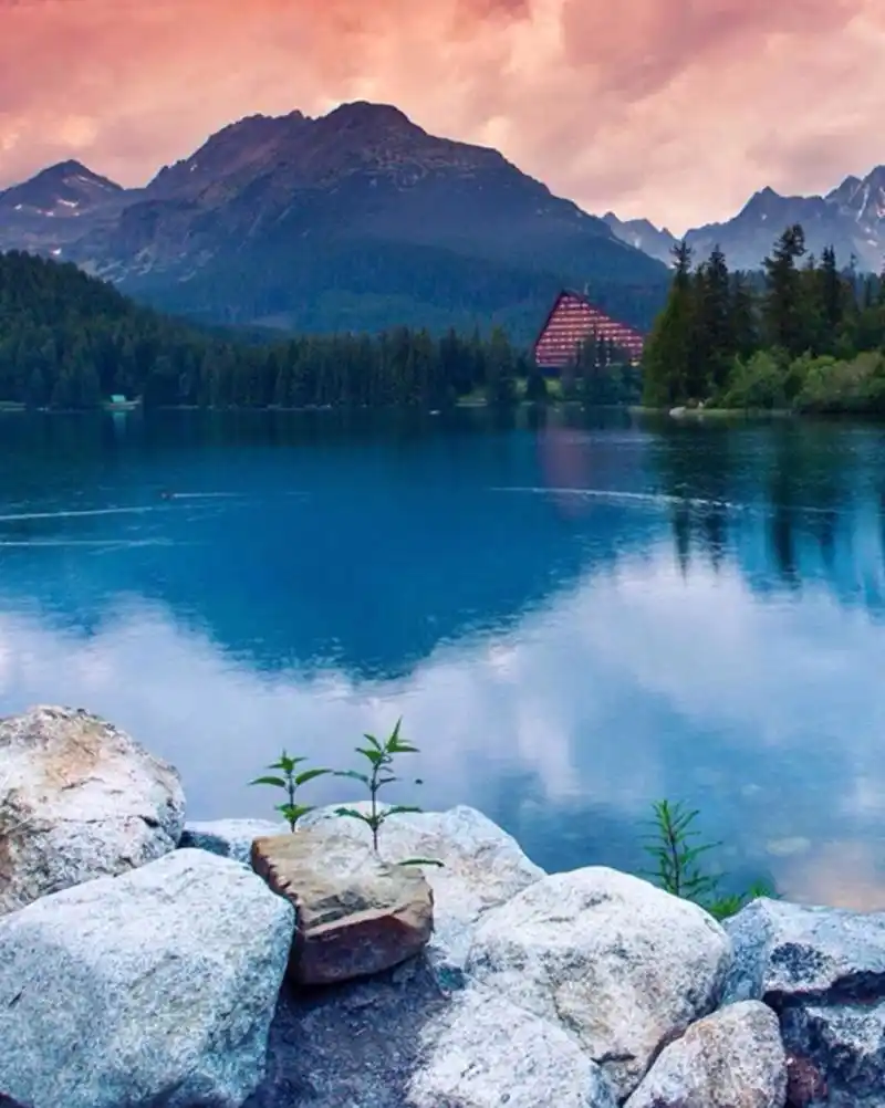 1200_1503竖版 竖屏