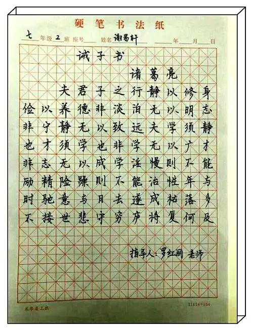 书写诫子书 弘扬国学经典 传承好家风 喜迎新春佳节 ——襄阳市实验