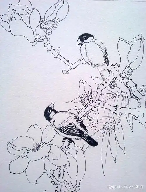 中考作文技法系列|写作手法之白描