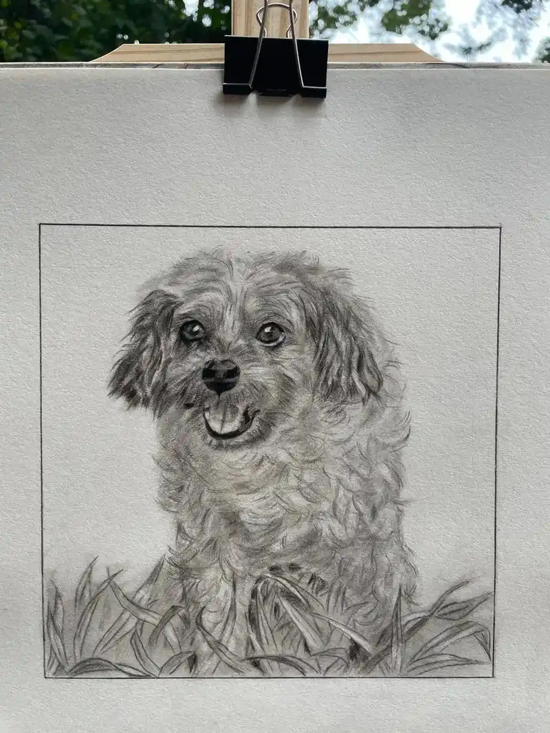 宠物狗#素描 - 抖音