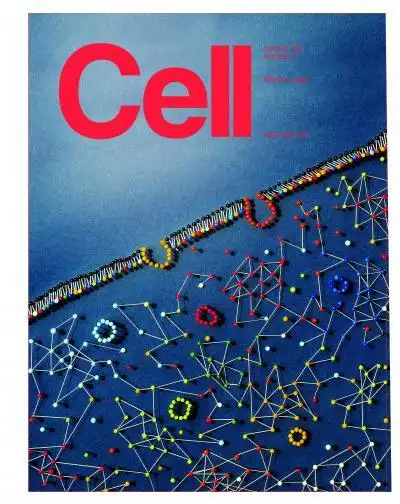 cell封面文章:诺奖之后,绘制首张细胞交通管控系统图