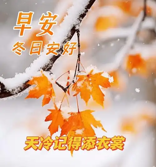 周四早上好,最新版清晨最新早安祝福创意表情包图片带字带问候语录