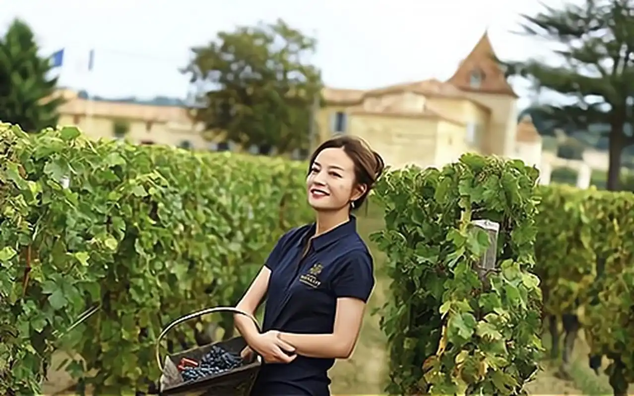 2011年,赵薇花了4000多万收购了法国的一个酒庄.