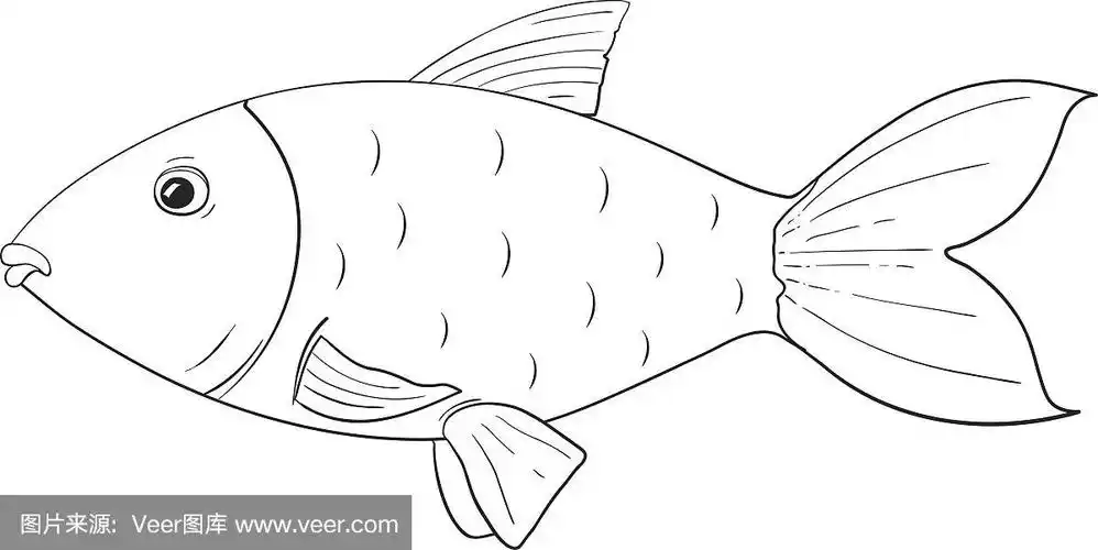 鱼.手绘草图