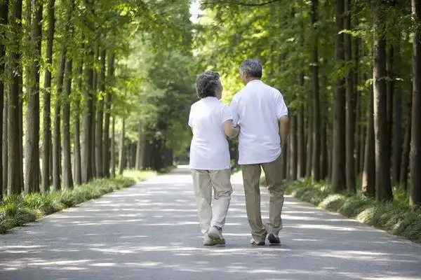 0 急需一些老夫妻恩爱牵手的佝偻的背影,要有沧桑感,又要体现出老夫妻