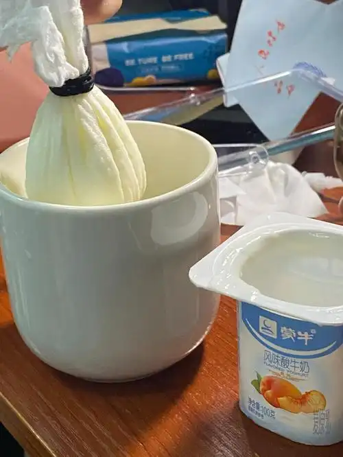 宿舍自制希腊酸奶