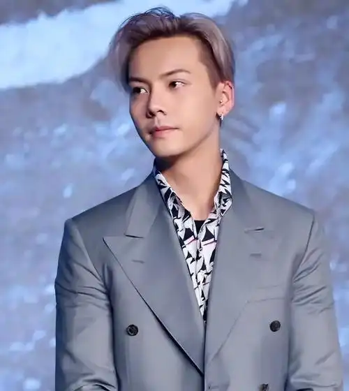 内娱四大周正系帅哥都有谁(娱乐圈公认的四位痞帅男明星) | 刀哥爱八