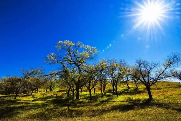 烈日当空的感觉是什么