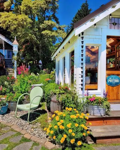 向往的田园生活一座小院鲜花爬满篱笆狗追猫儿跑