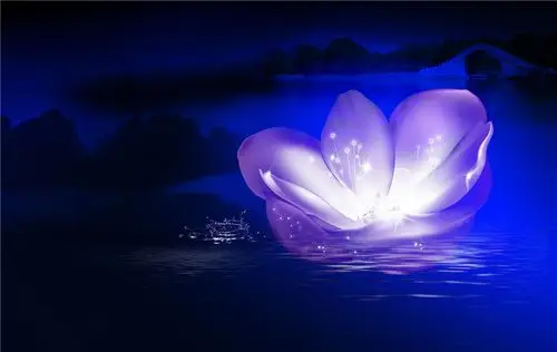 蓝色梦幻唯美花卉吊顶图案