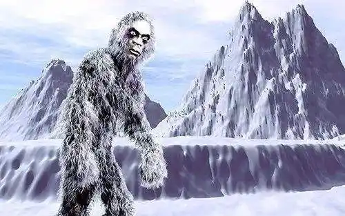 喜马拉雅发现雪人遗物经高科技检查生物学家给出意外答案