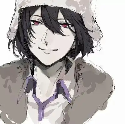 费奥多尔·陀思妥耶夫斯基侵权删