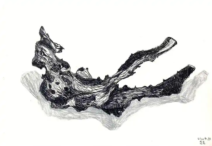 少儿美术之线描树根写生练习