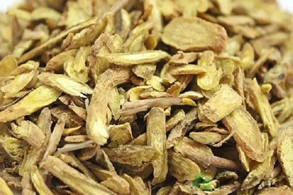 黄芩和黄芪的区别图片外观及功效对比