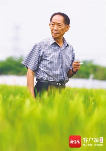杂交水稻之父袁隆平禾下乘凉梦丹心映青田