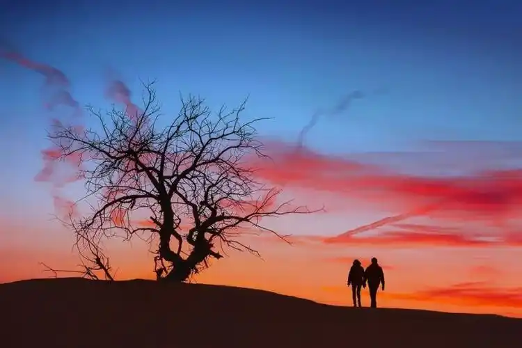 2020520┃我爱你何止在今天