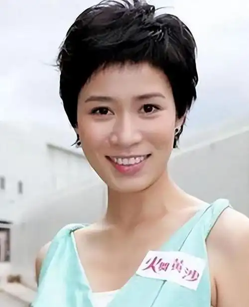 在那个时期的香港,李嘉欣和其他一些人的才华和才华已经在"香港小姐"