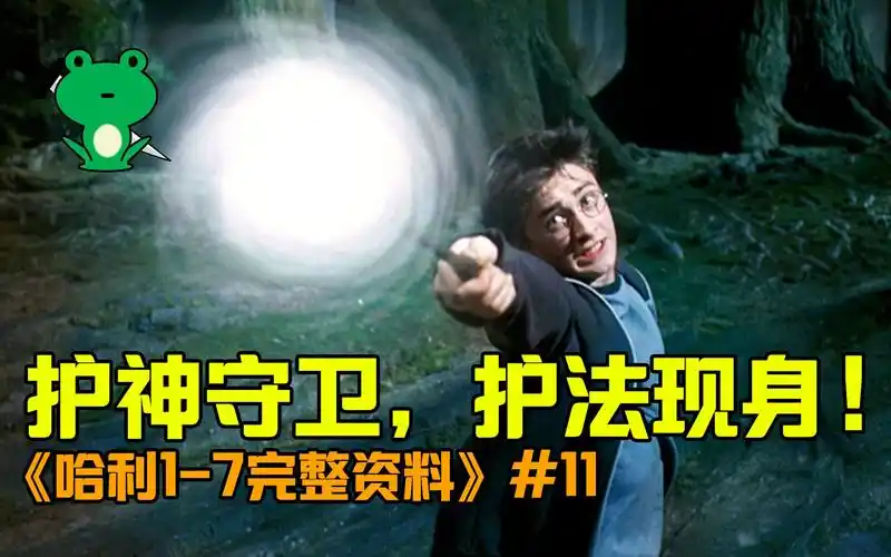 【细品哈利11】解析:呼神护卫名场面
