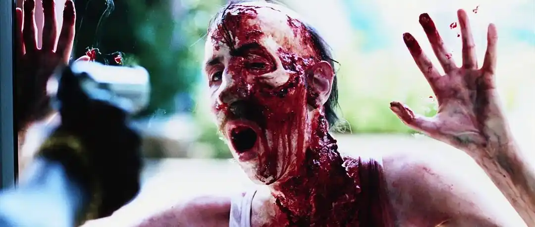 《活死人黎明》-高清电影-完整版在线观看